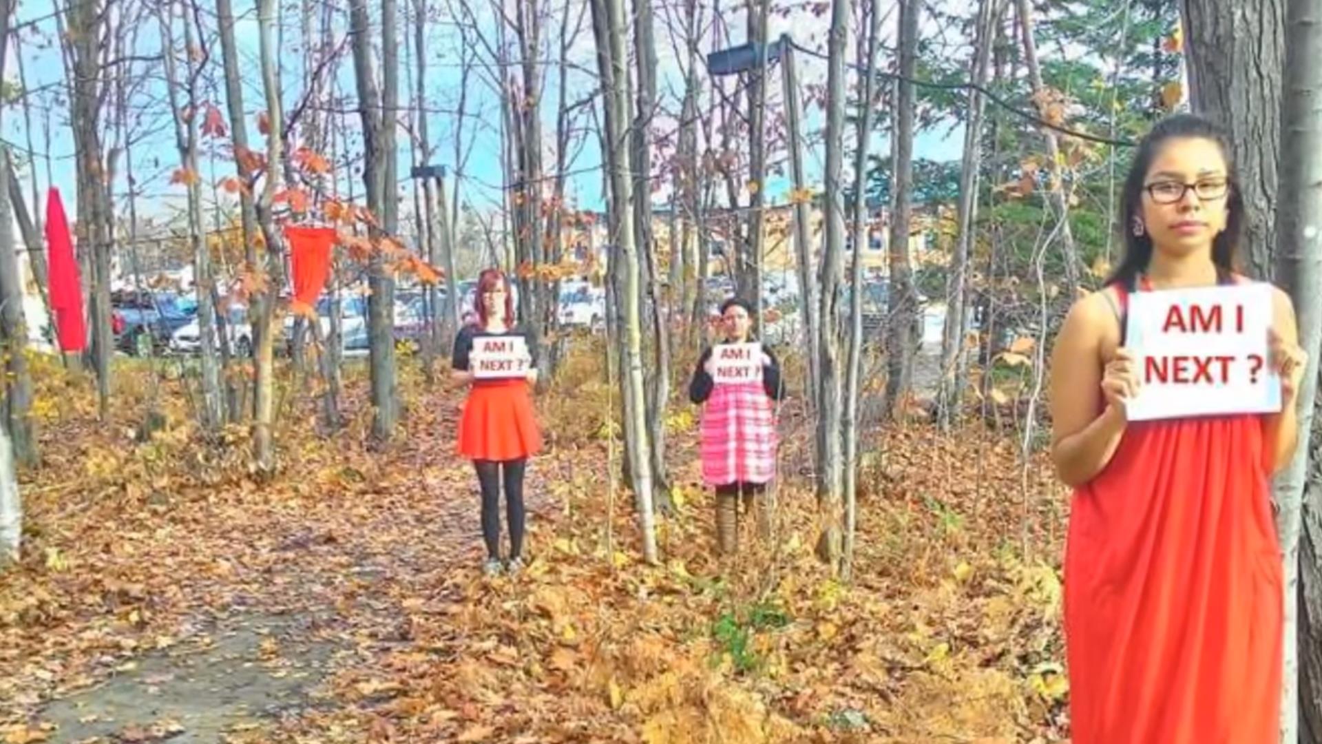 mmiw red dress meaning MMIW red dress/regalia