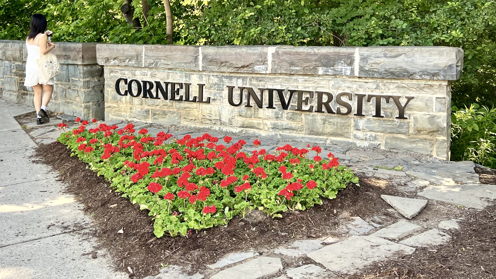 Cornell University Sign